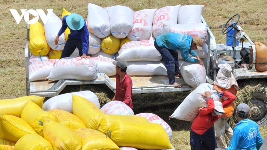 80 years on: Vietnam emerges from rice importer to Top 3 global exporter